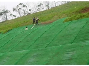 排水網工程案例